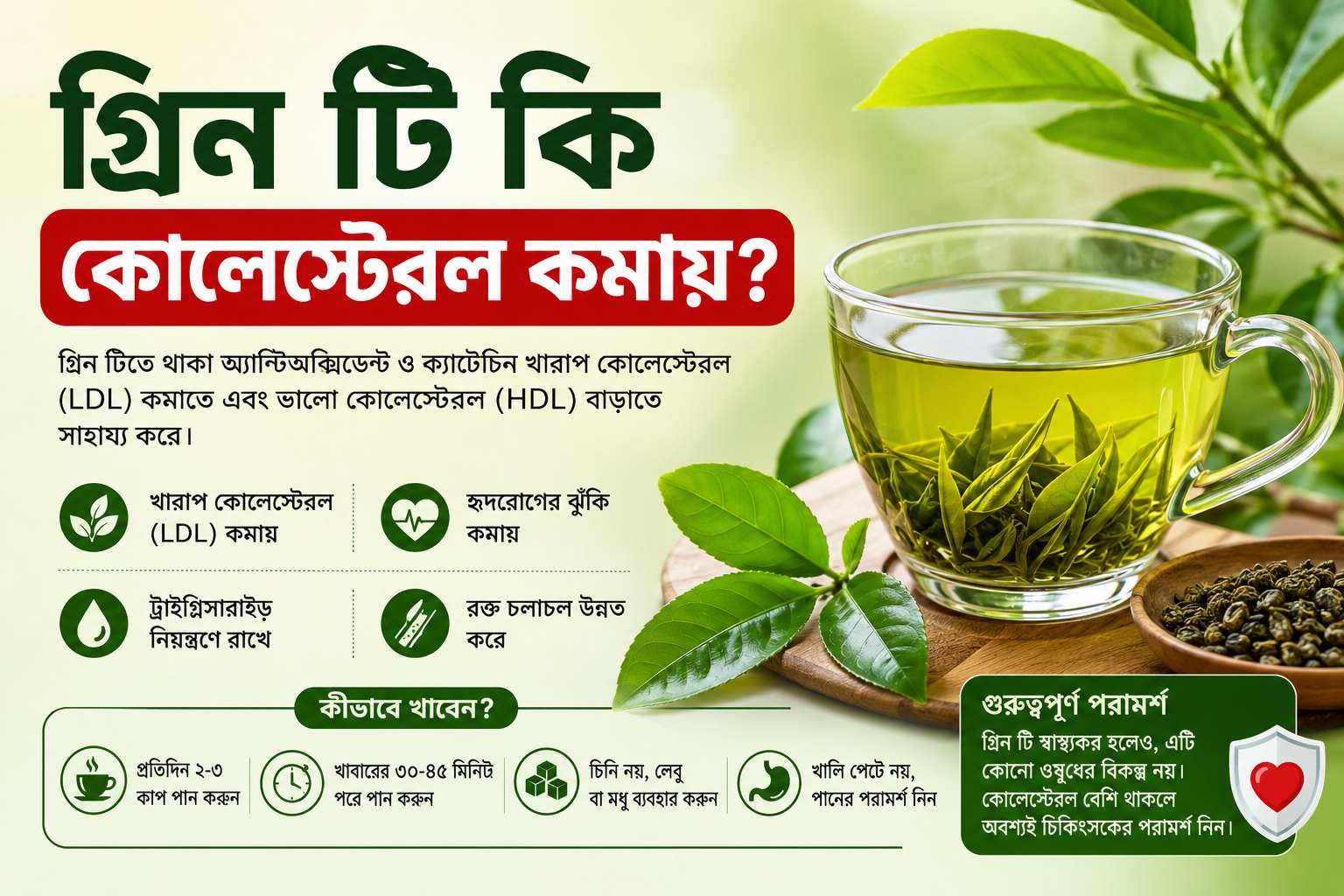 গ্রিন টি কি কোলেস্টেরল কমায়? এখানে এইটা বোঝানো হয়েছে ,কোলেস্টেরল নিয়ন্ত্রণে গ্রিন টির উপকারিতা দেখানো একটি বাংলা ইনফোগ্রাফিক, যেখানে এক কাপ গ্রিন টি, সবুজ চা পাতা এবং হৃদরোগ কমানোর স্বাস্থ্য উপকারিতা তুলে ধরা হয়েছে।