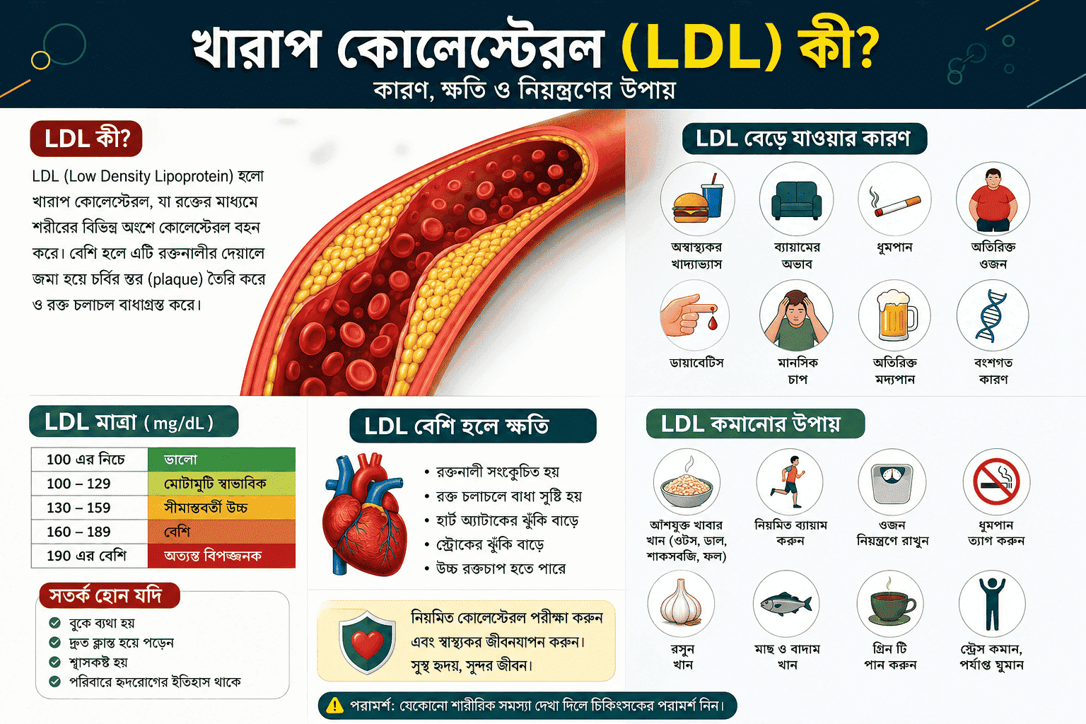 খারাপ কোলেস্টেরল (LDL) কী, এর কারণ, লক্ষণ ও নিয়ন্ত্রণের উপায় নিয়ে বাংলা স্বাস্থ্য ইনফোগ্রাফিক যেখানে হৃদরোগ ঝুঁকি, স্বাস্থ্যকর খাদ্য ও জীবনযাপনের টিপস দেখানো হয়েছে।